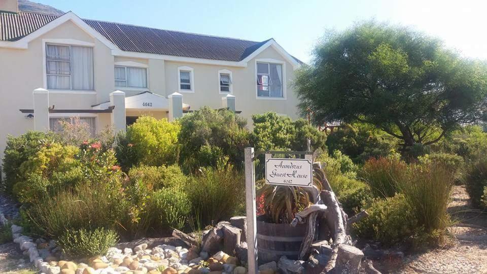 Avondsrus Guesthouse Bettyʼs Bay Zimmer foto